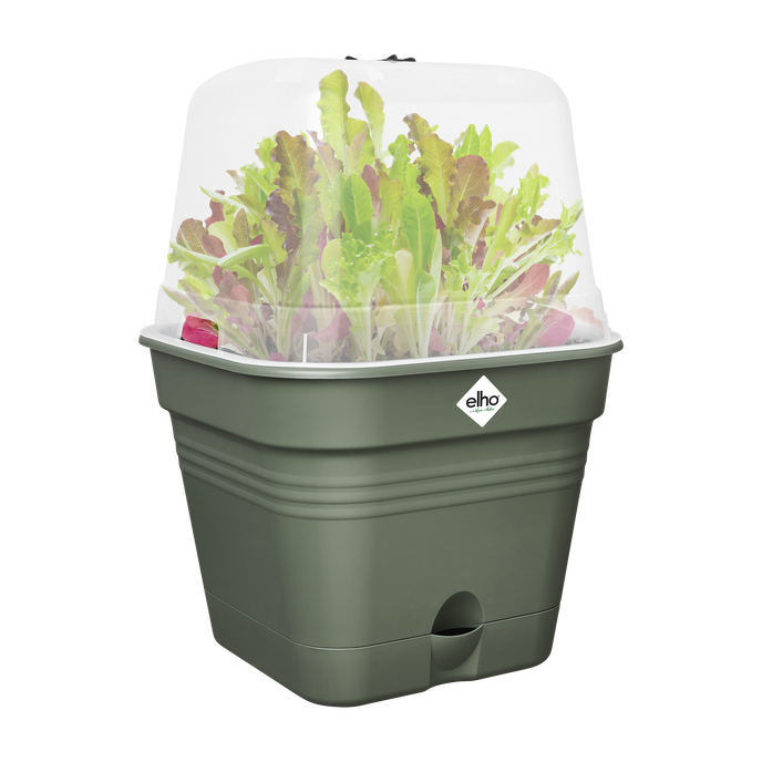 green basics growpot square allin1 15cm leaf green
